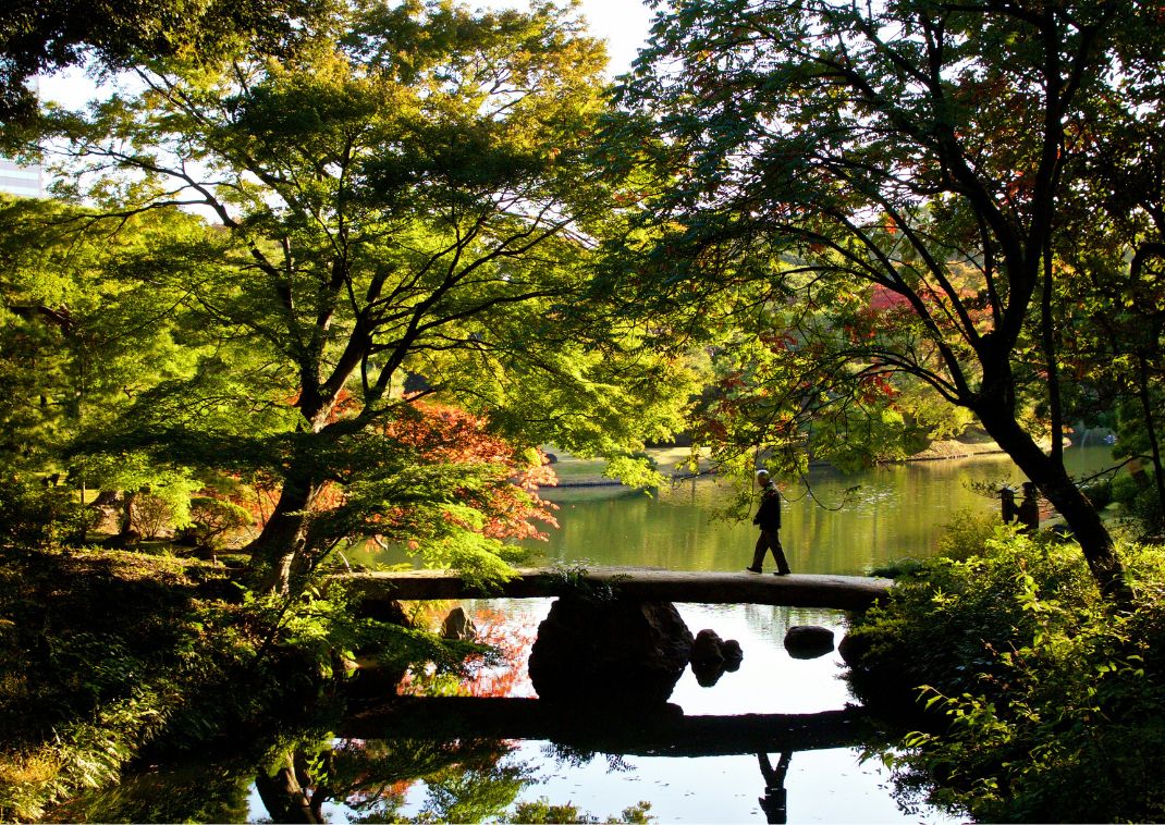 Person går over en bro, over en dam i Rikugien Garden, Tokyo 