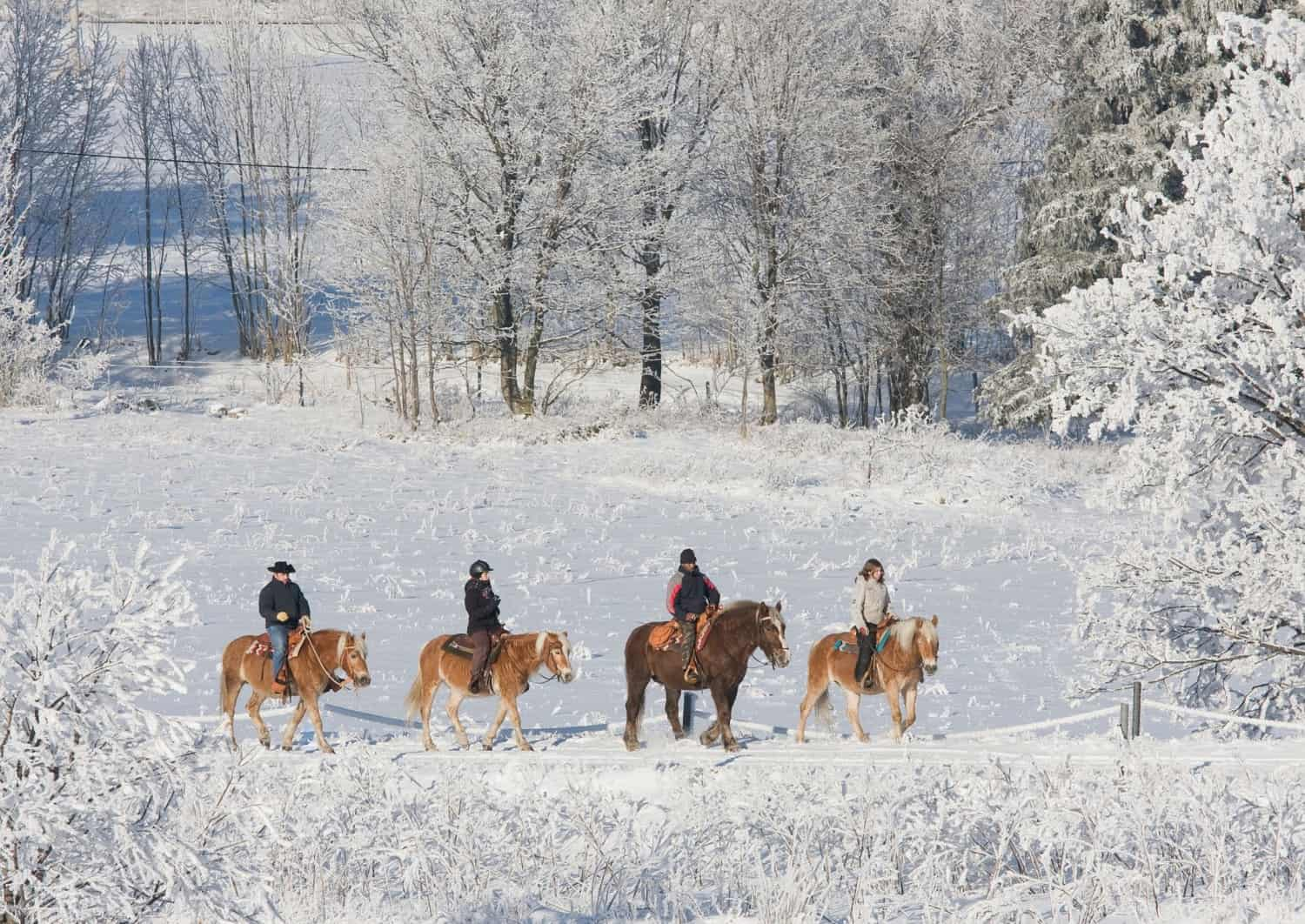 Hokkaidos berømte ret Jingiskan tilberedt med fårekød, Hokkaido, Japan