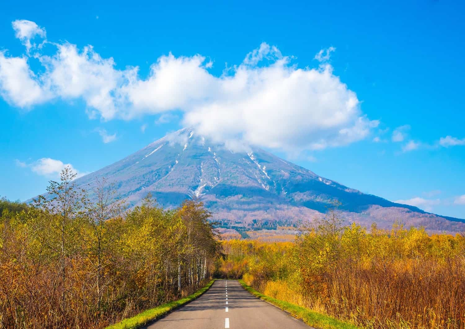 Vej i Niseko om sommeren, Hokkaido, Japan