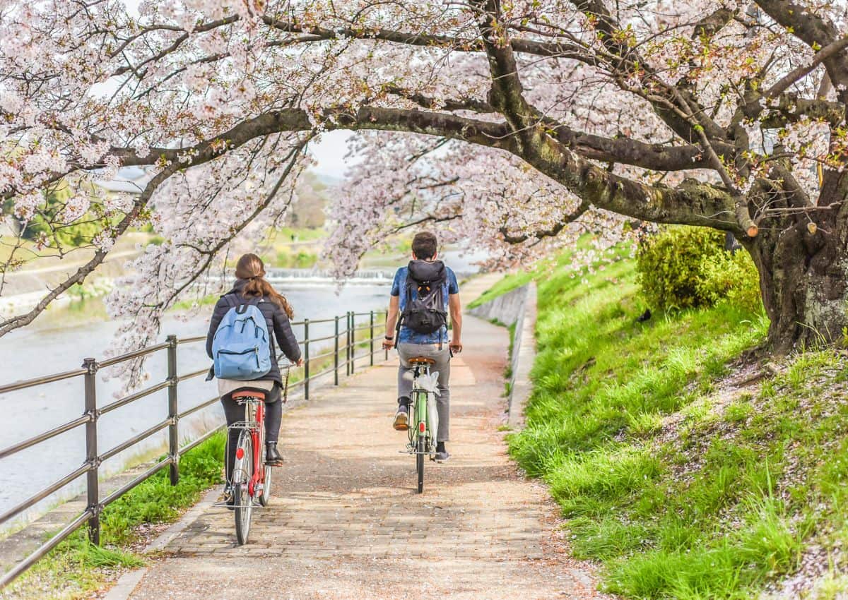 Par cyklar längs floden i Kyoto.