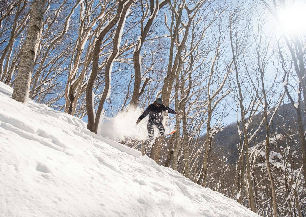 Snowboardåkare i Hakubas skidområde, Japan