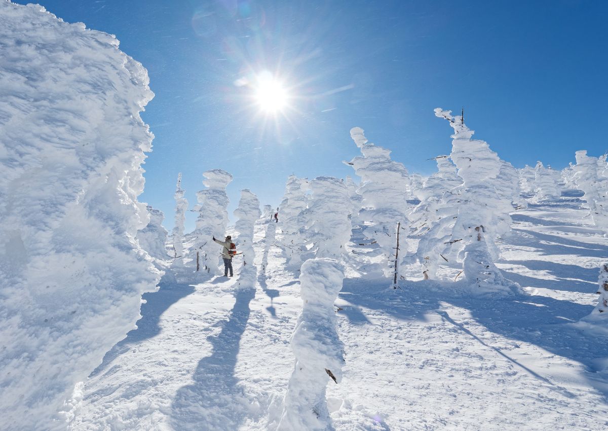 Snömonster i Yamagata, Japan