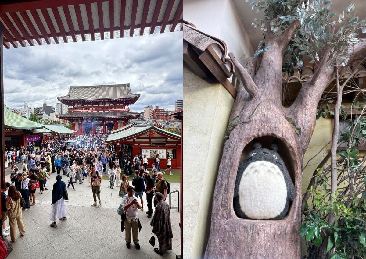 Sensoji-templet i Asakusa och en Totorofigur från Studio Ghibli.