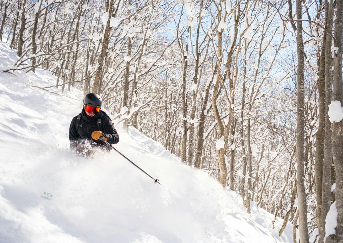 Trädskidåkning i skidorten Tsugaike Kogen, Hakuba, Japan