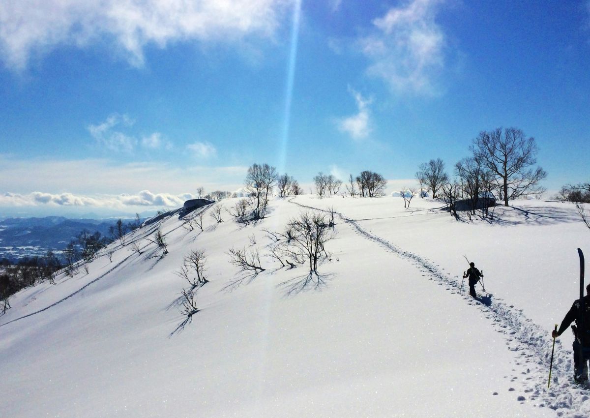 Friåkare i Nisekos bergsterräng på Hokkaido