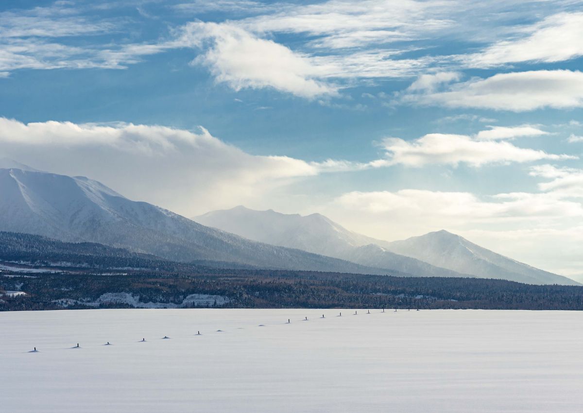 Vinterlandskap i Biei, Hokkaido