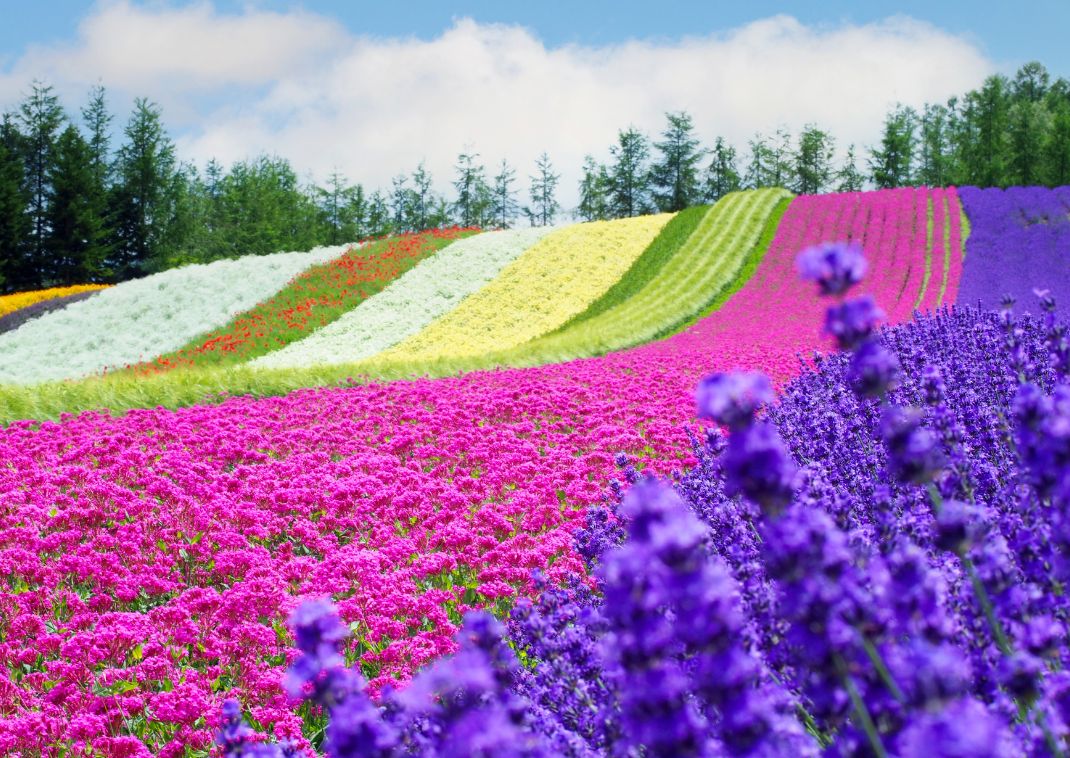 Vattenfallen Ryusei och Ginga no Taki på Hokkaido, Japan