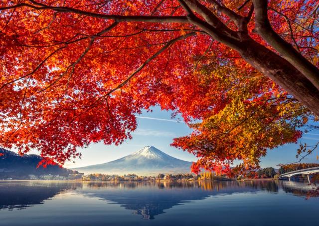 Höst i Japan med berget Fuji i bakgrunden