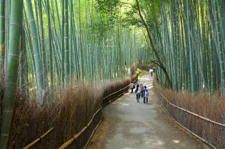 Arashiyama, Kyoto 