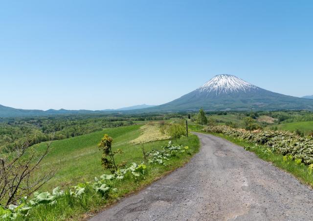 Niseko på sommaren