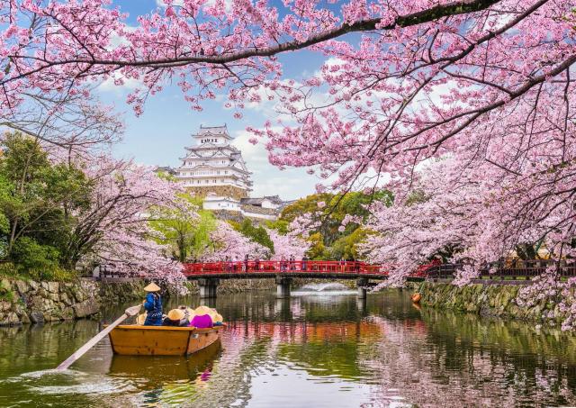 Båttur vid Himeji-slottet under körsbärsblomssäsongen