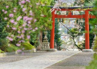 Osaki Hachimangu Shrine