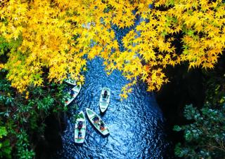 Färgspår i Takachiho Gorge