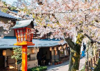 Kinosaki Onsen by med körsbärsblommor på framsidan