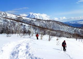 Vintervandringar (snöskovandring)  