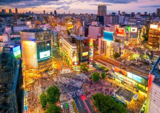 Shibuya Crossing vid solnedgången