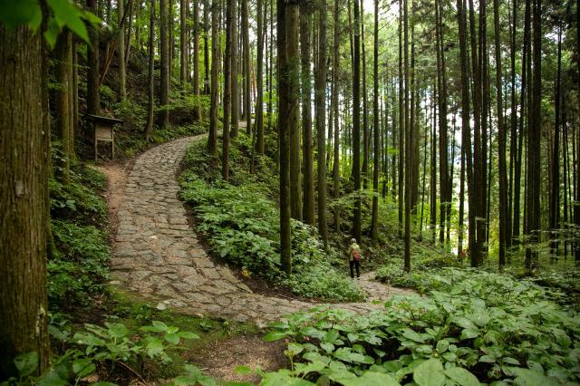 Nakasendo spår