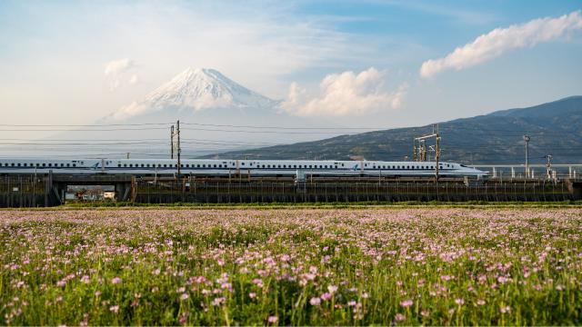 Shinkansen-tåg och Mt. Fuji