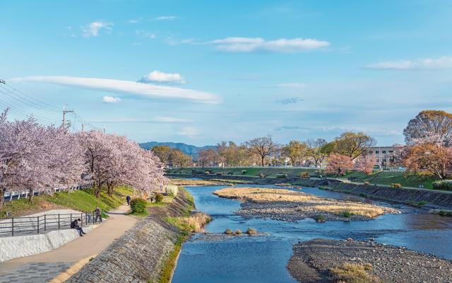 Kamogawa flodbank