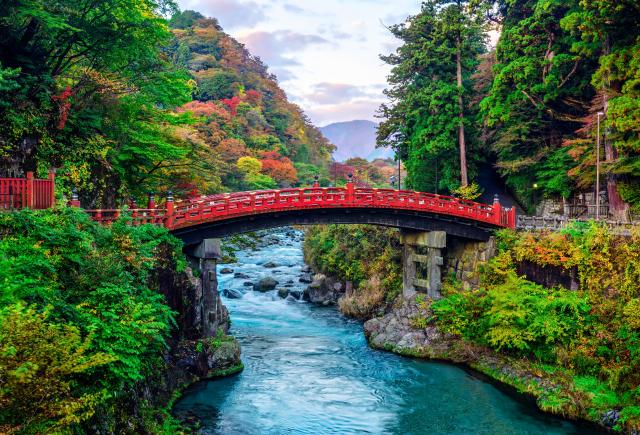 Shinkyobron, Nikko