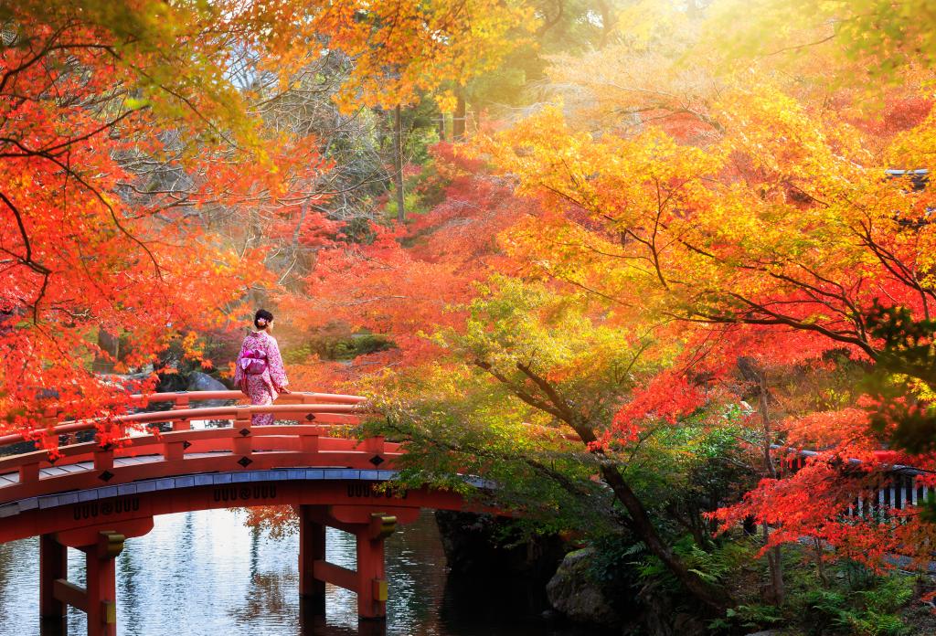 Resa i Japan