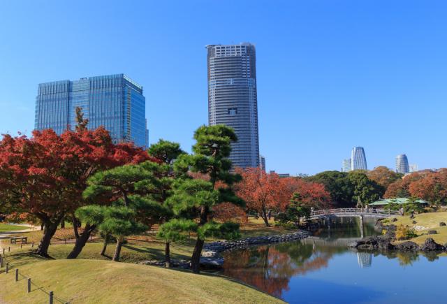 Hamarikyu hamn, Tokyo