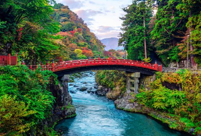 Shinkyobron, Nikko