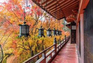 Tanzan Shrine, Nara