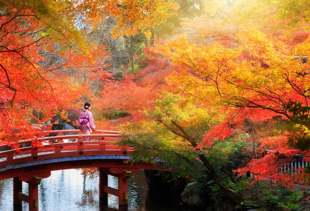 Japan om efterspelet
