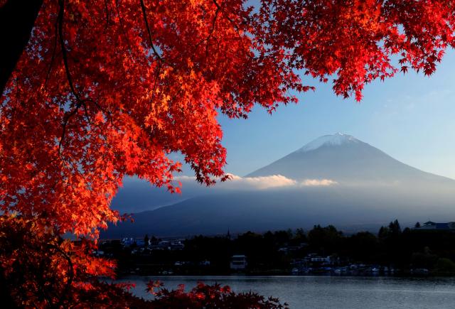 Mt. Fuji och sjön Kawaguchi