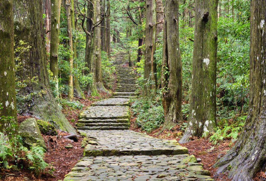 Kumano Kodo pilgrimsfärd