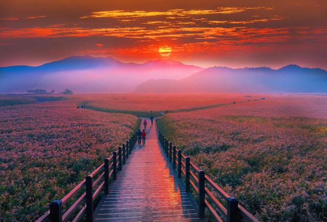Suncheon Bay, Yeosu