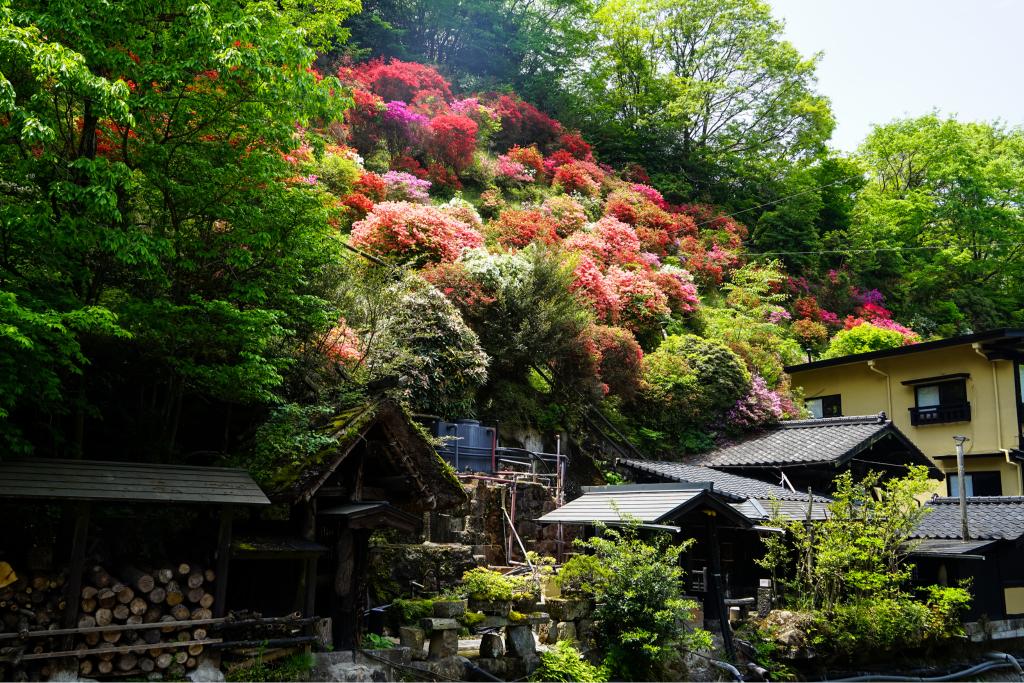 Kurokawa Onsen