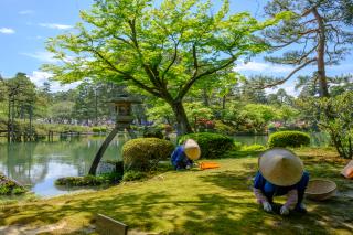 Hamnen Kenrokuen, Kanazawa