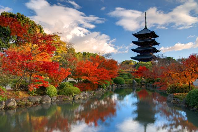 Toji-templet, Nara