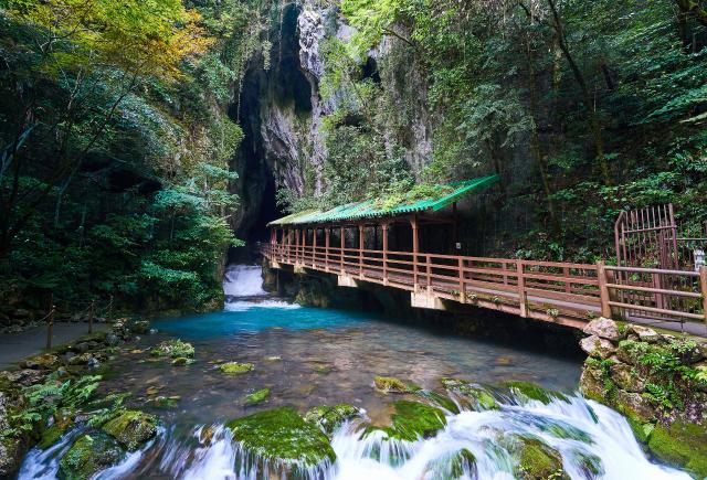 Akiyoshidai nationalpark, Yamaguchi