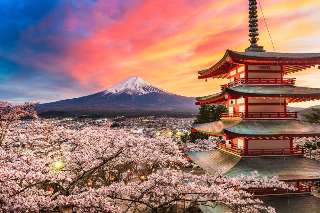 Fuji-berget i körsbärsblomning vid solnedgången, Japan