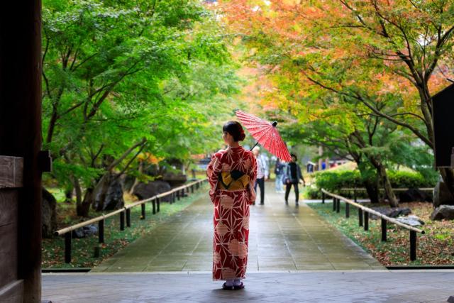 Japansk kvinna i röd kimono håller ett paraply och promenerar lugnt genom en offentlig park med höstlöv i Japan