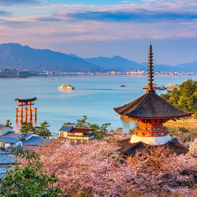 Ön Miyajima under våren med körsbärsblomning