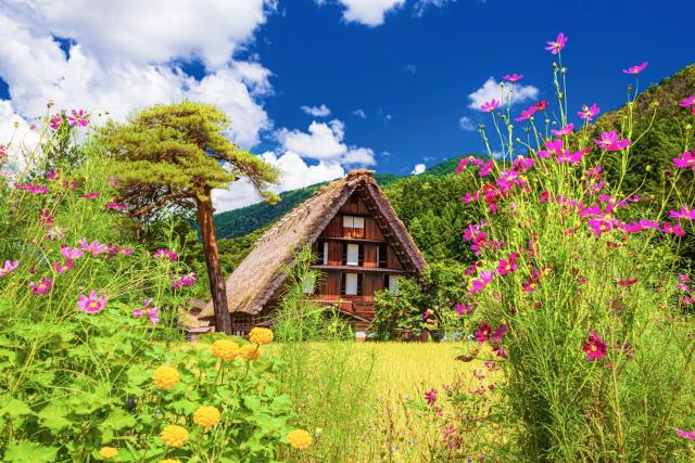 Traditionella bondgårdar på sommaren, Shirakawago
