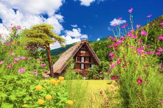 Traditionella bondgårdar på sommaren, Shirakawago