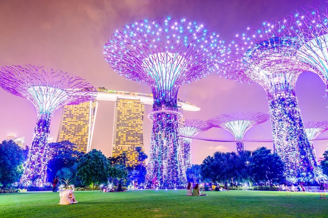 Oplyste superträd, Singapore
