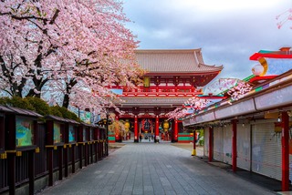 Sensō-ji-templet i Asakusa under sakura 