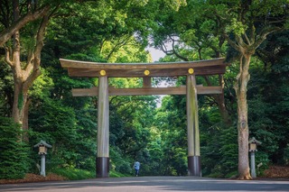 Meiji Shrine, Tokyo