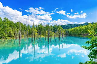 Shirokane Blue Pond i Biei