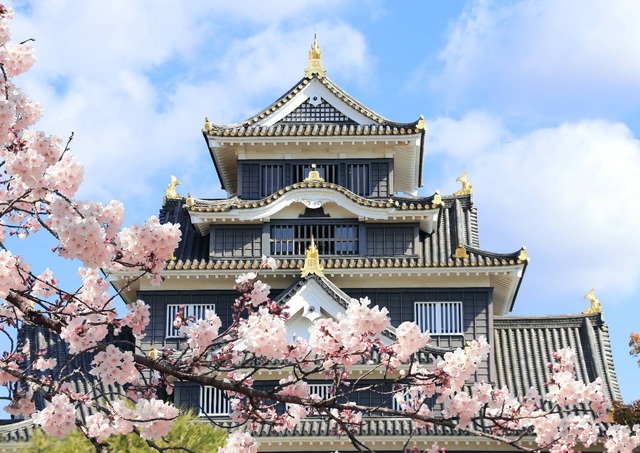 Osakaborgen