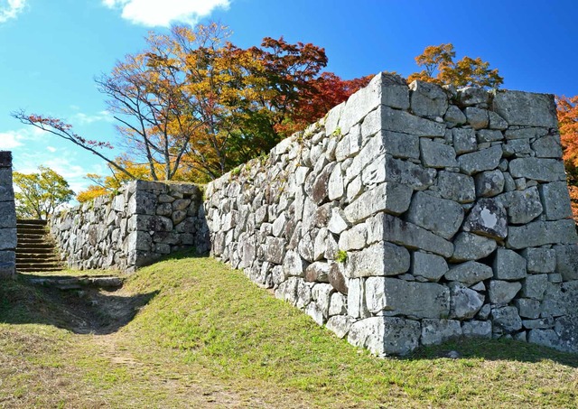 Tsuwano slott