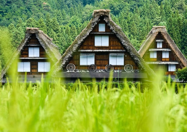 Traditionella gassho-zukuri-hus, Shirakawa-go
