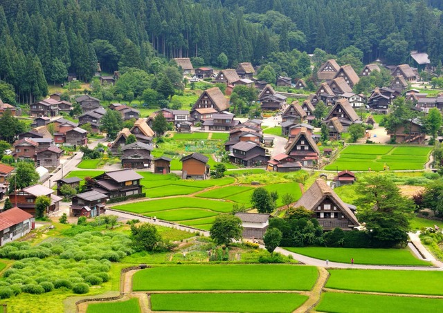 Ogimachi Village på sommaren