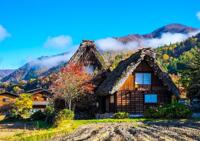 Ogimachi Village på hösten